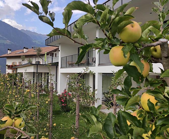 Maierhof - Bildergalerie Photo
