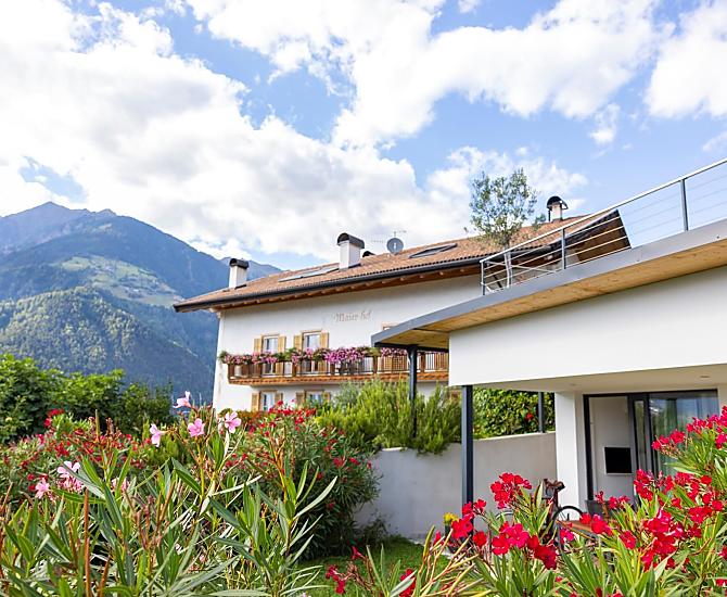 Maierhof - Bildergalerie Photo