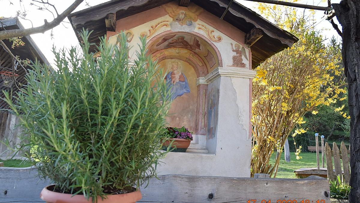 Lafogl - Bildergalerie Photo