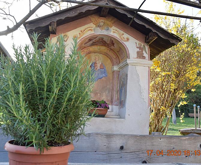 Lafogl - Bildergalerie Photo