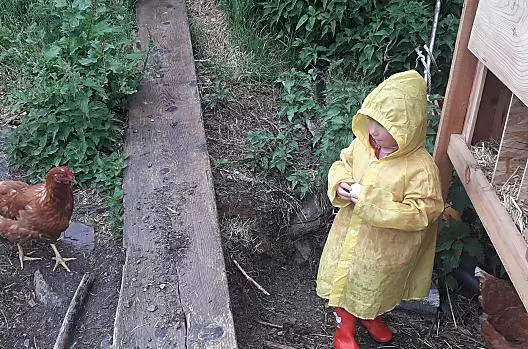 Anna Lena tra le galline