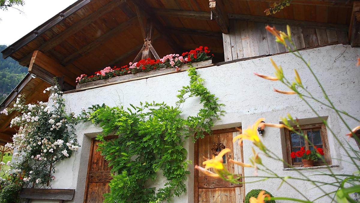 Obergereuthof - Bildergalerie Photo