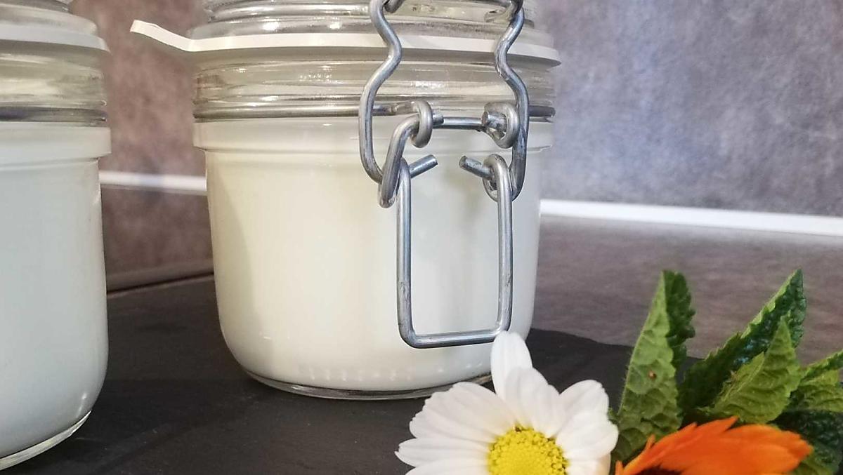 Yogurt fatto in casa 