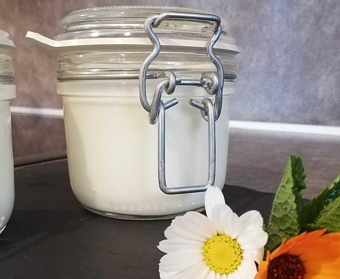 Yogurt fatto in casa 