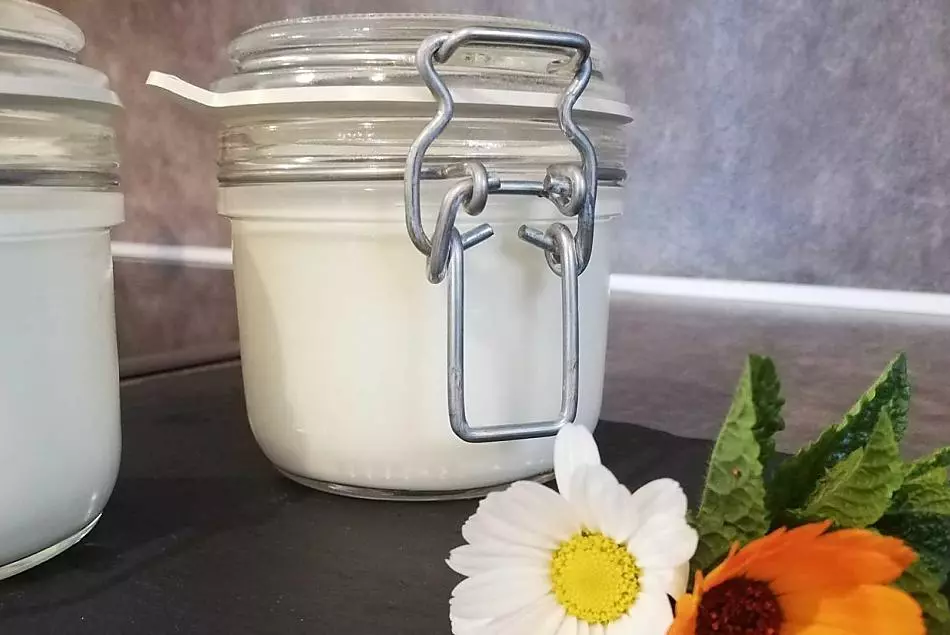 Yogurt fatto in casa 