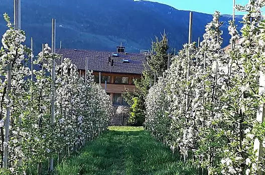Pröfinghof - Liste Photo