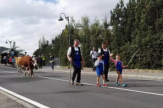 La transumanza all'Alpe di Siusi. Siamo sempre felici e grati quando tutti gli animali tornano a casa sani e salvi.