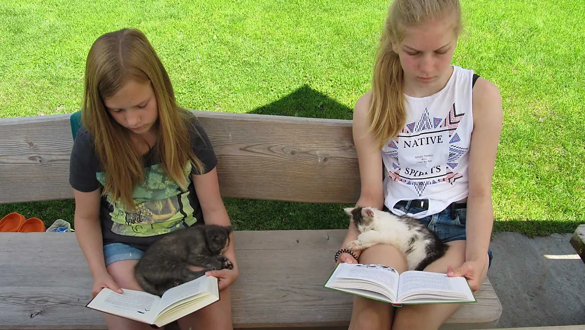 Sogni di lettura e gatti coccolosi