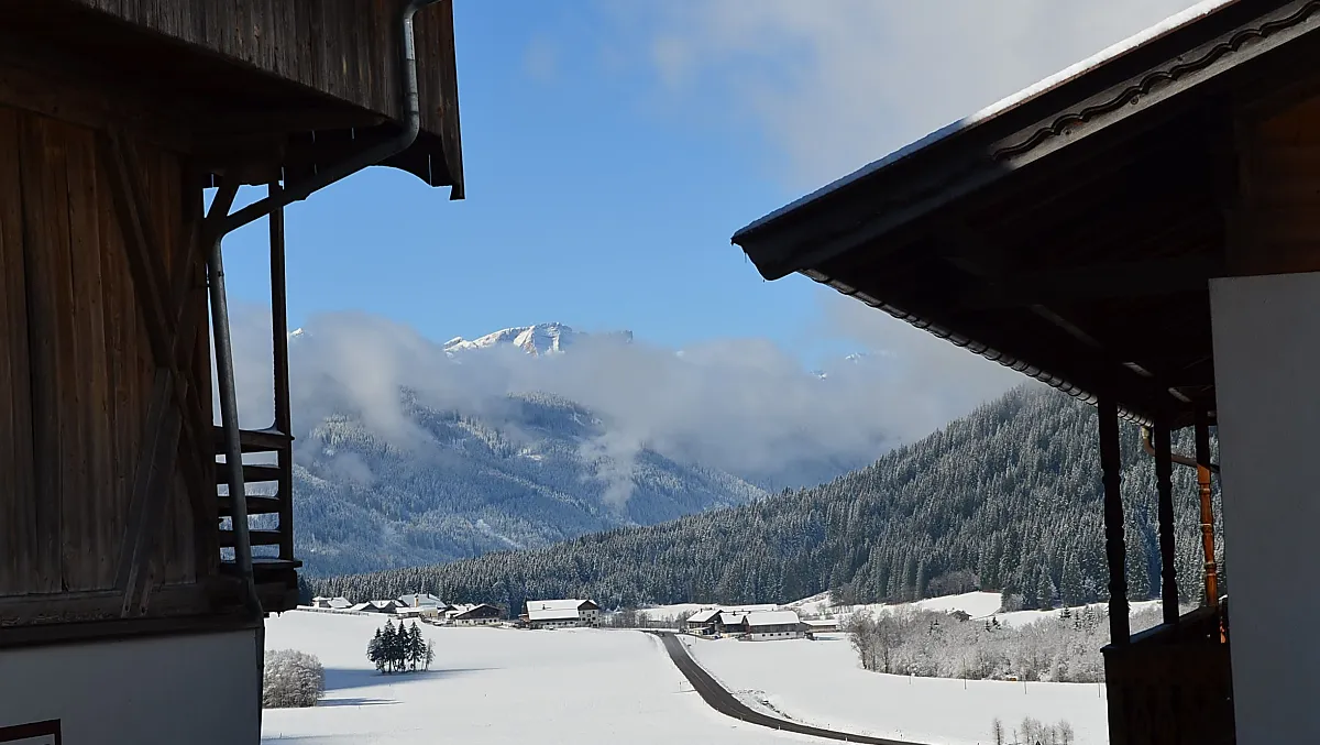 Splendidi panorami