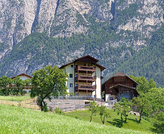 Schartnerhof - Bildergalerie Photo