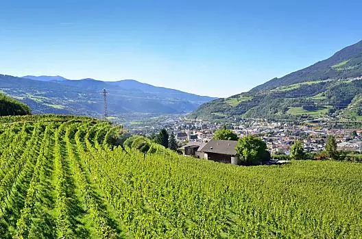 Il vigneto del Mayrhof