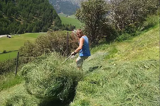 Lukas si occupa del secondo taglio del fieno (Gruamet)