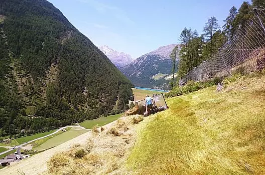 Lavoro con il fieno
