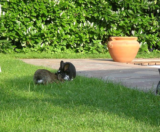 Ortguterhof - Bildergalerie Photo