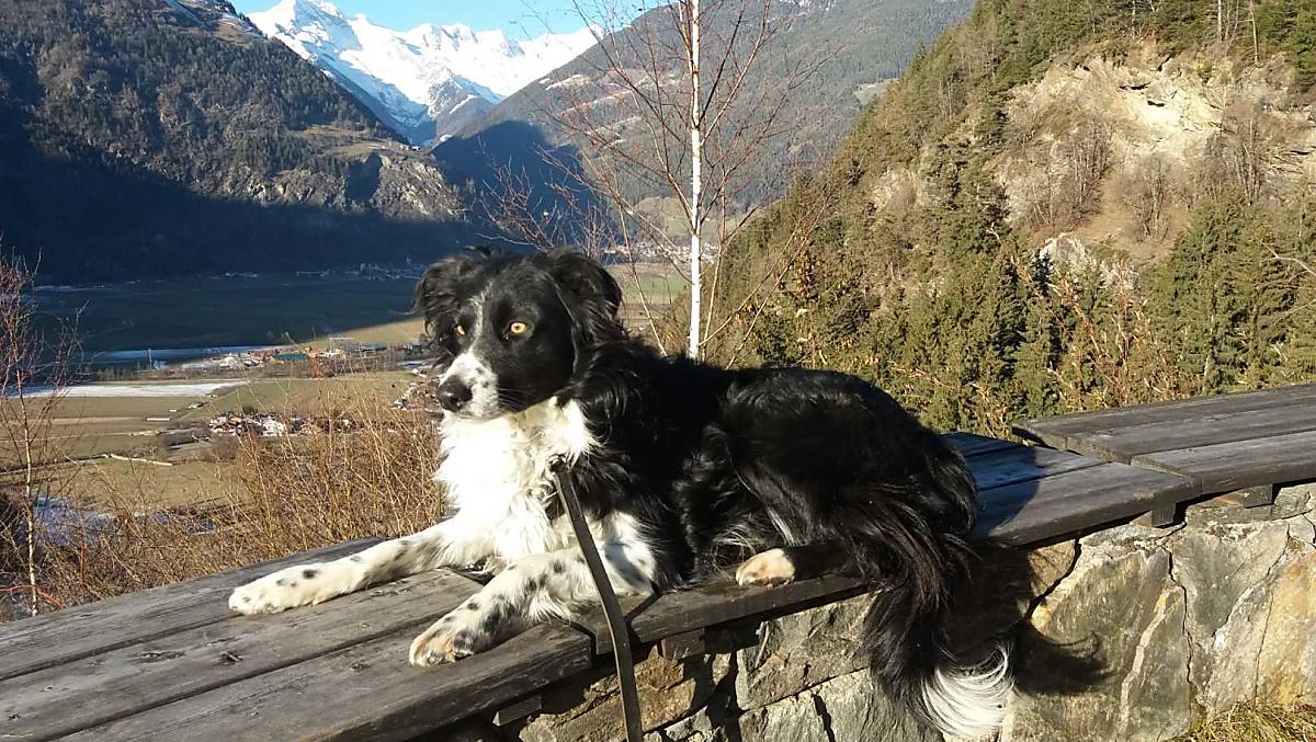 La nostra Ayla
