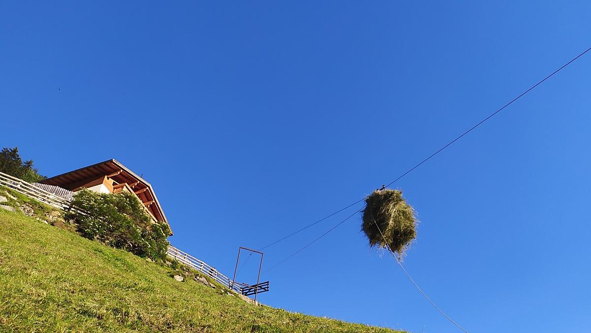 Ausserhasler - Bildergalerie Photo