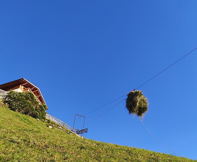 Ausserhasler - Bildergalerie Photo