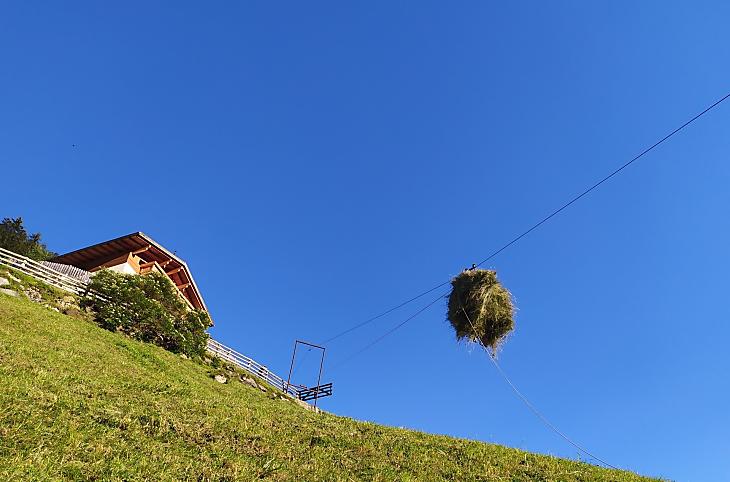 Ausserhasler - Bildergalerie Photo