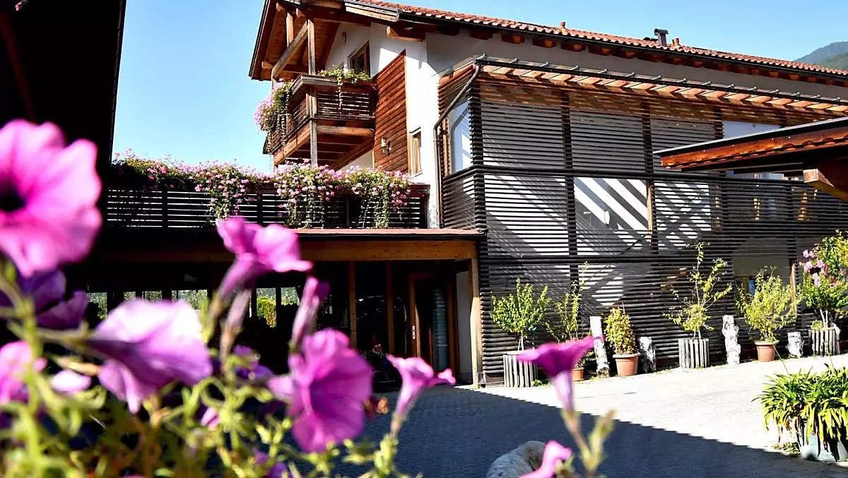 Intorno all'Obermoarhof, la natura è in pieno trionfo