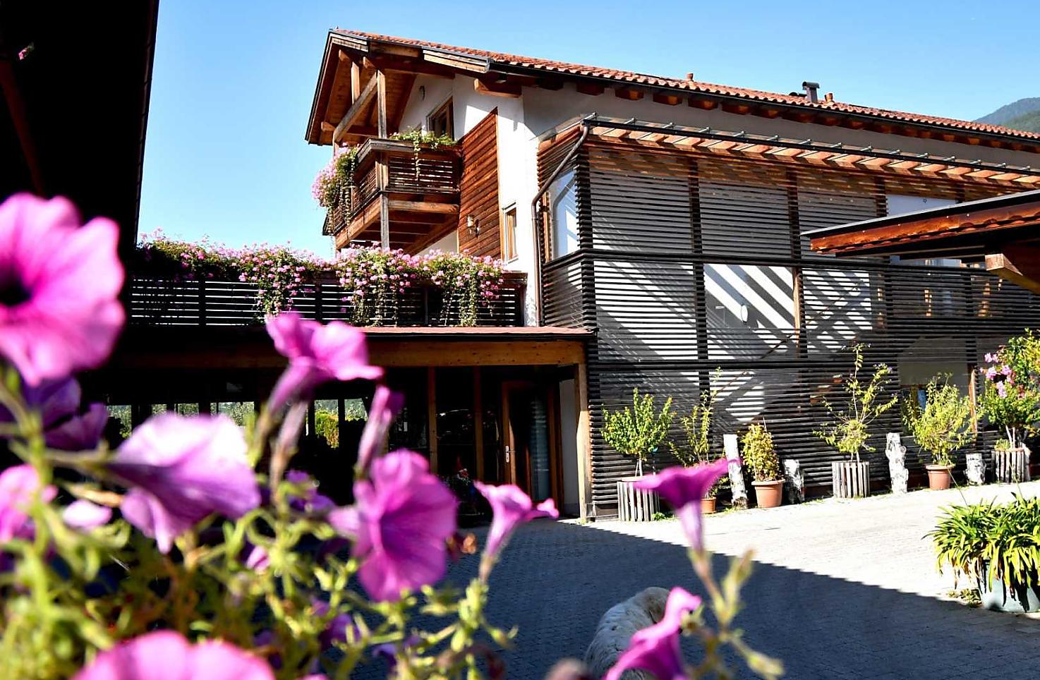 Intorno all'Obermoarhof, la natura è in pieno trionfo