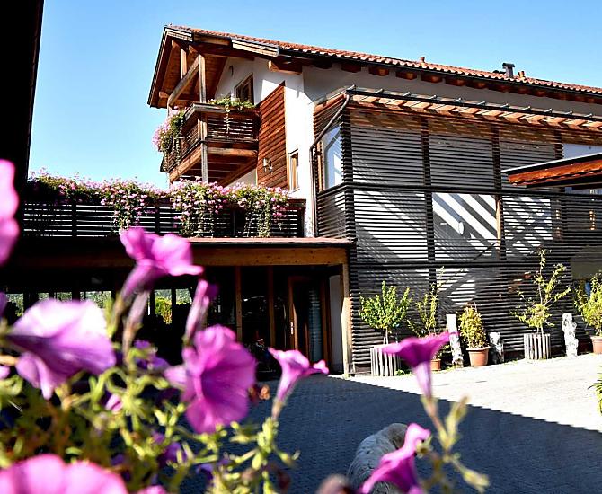 Intorno all'Obermoarhof, la natura è in pieno trionfo