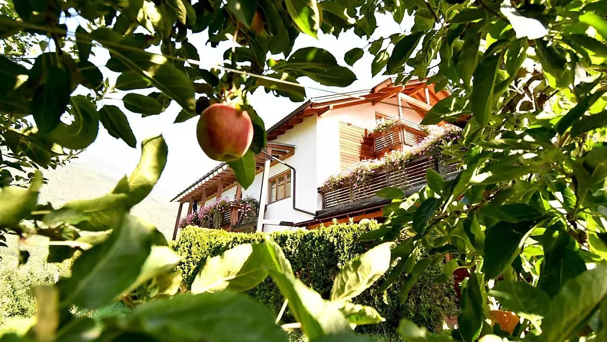 Vivere la raccolta della frutta in autunno: ecco cosa vi aspetta nella nostro maso frutticolo