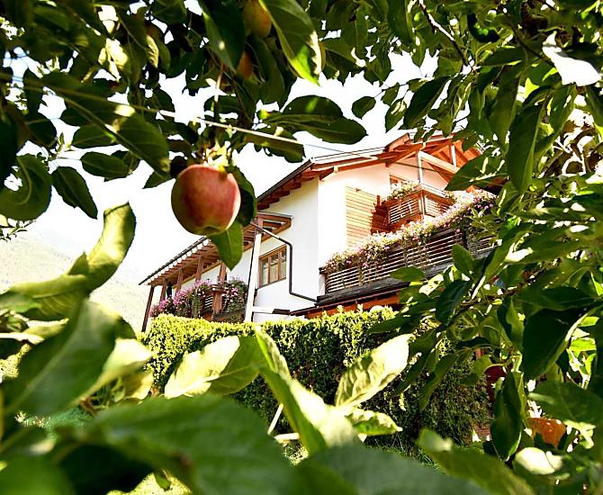 Vivere la raccolta della frutta in autunno: ecco cosa vi aspetta nella nostro maso frutticolo