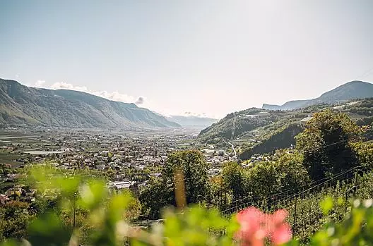 L'intera Valle dell'Adige si stende dolcemente ai vostri piedi, a 500 metri di altitudine, con un'ottima vista.