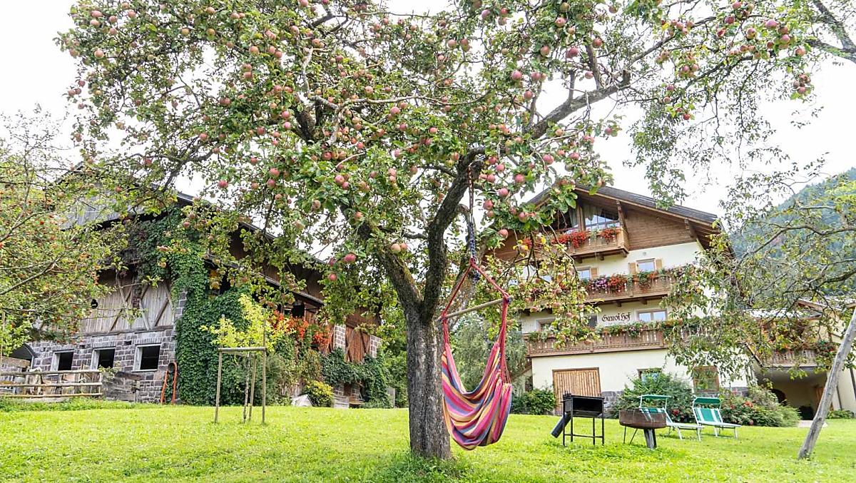 Sdraio sospese, barbecue, focolari e un'area esterna ben curata di fronte alla nostra guest house.
