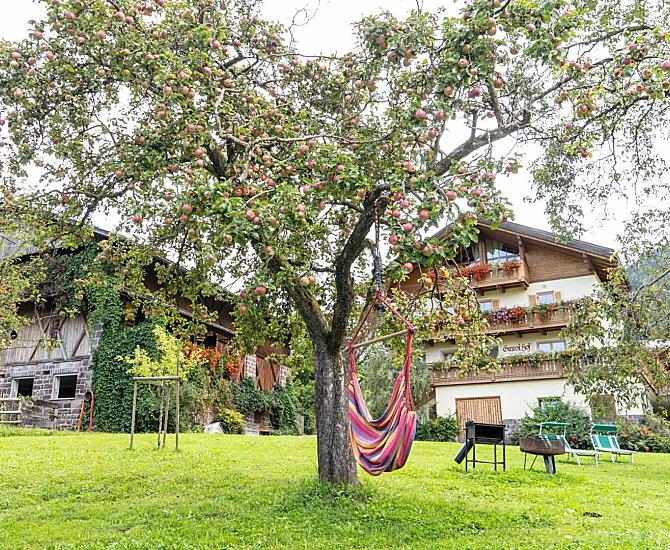 Sdraio sospese, barbecue, focolari e un'area esterna ben curata di fronte alla nostra guest house.