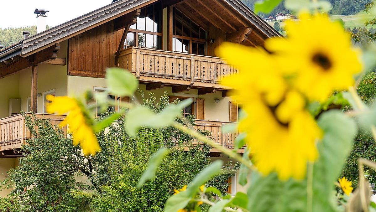 I girasoli ci accompagnano nei mesi caldi