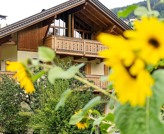 I girasoli ci accompagnano nei mesi caldi