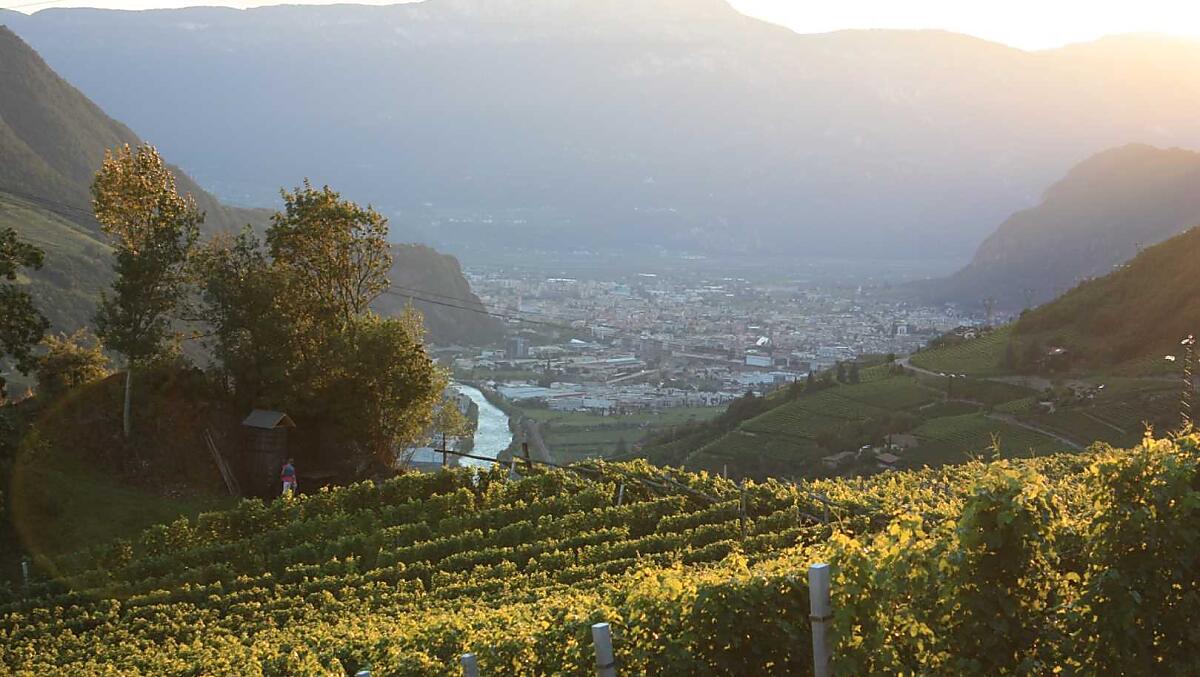 Tramonti suggestivi con vista su Bolzano