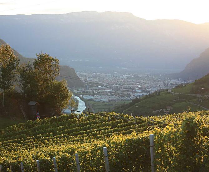 Tramonti suggestivi con vista su Bolzano