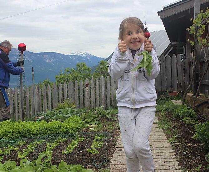 Il lavoro in giardino