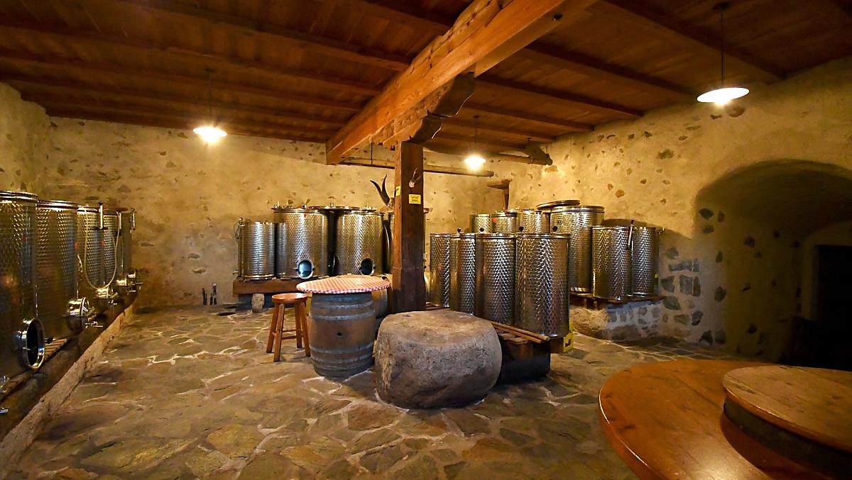 Cantina dei vini