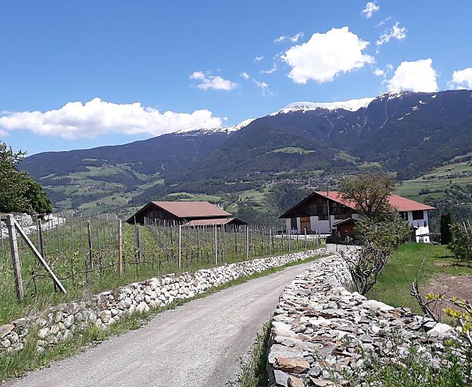 Ingresso del maso