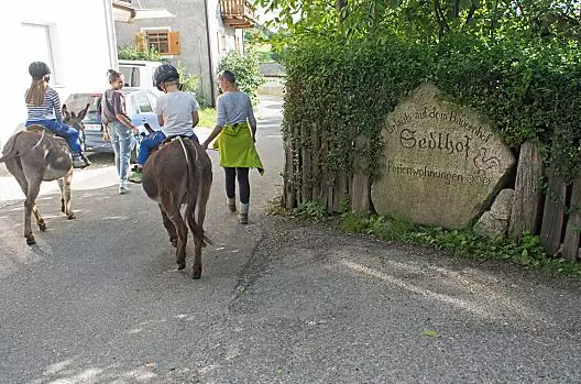 Sedlhof - Liste Photo