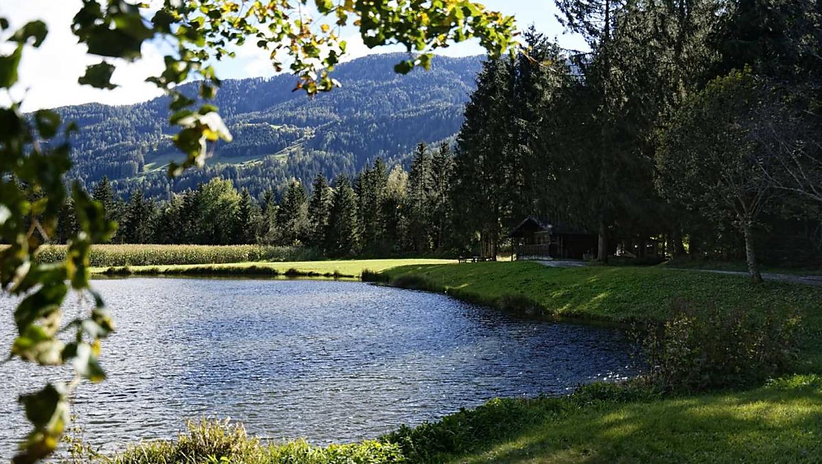 Nestlhof - Bildergalerie Photo