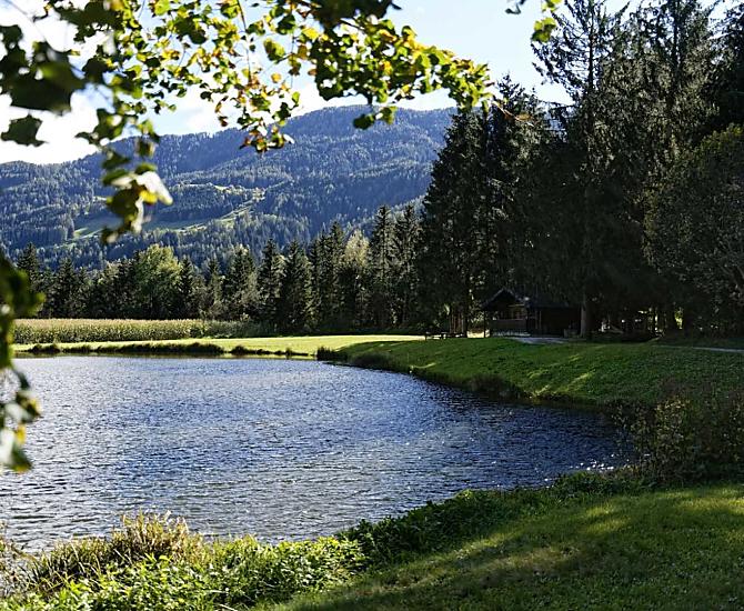 Nestlhof - Bildergalerie Photo