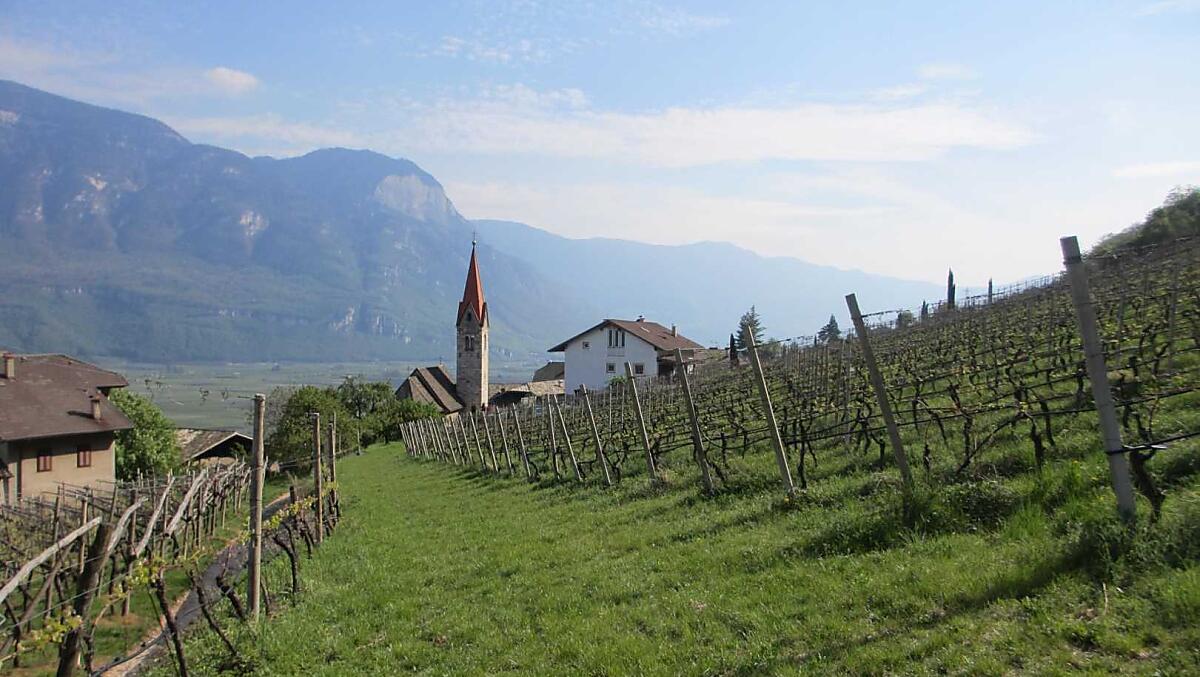 Il maso Runggnerhof con vista a sud.