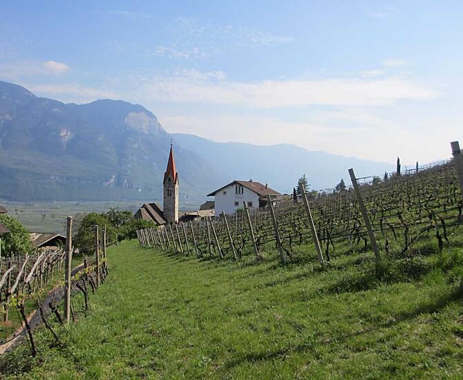 Il maso Runggnerhof con vista a sud.