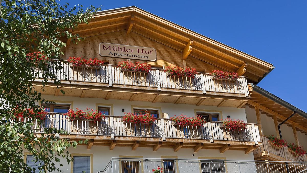 Trionfo floreale d’estate