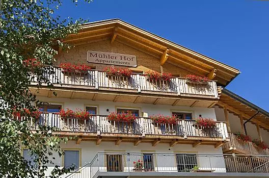 Trionfo floreale d’estate