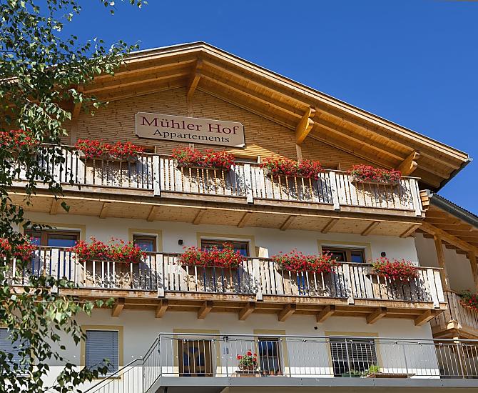 Trionfo floreale d’estate