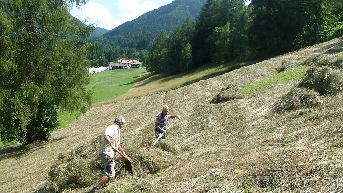Lavoro con il fieno