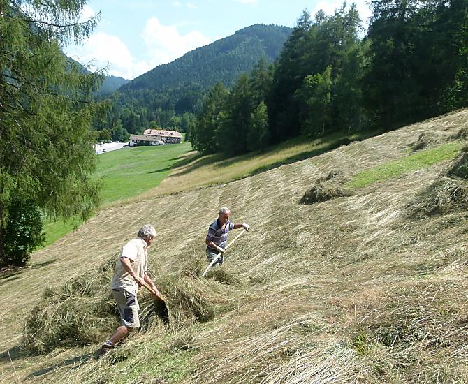 Lavoro con il fieno