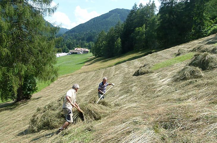 Lavoro con il fieno