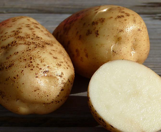 La patata viene utilizzata in molti modi nella cucina tradizionale altoatesina 