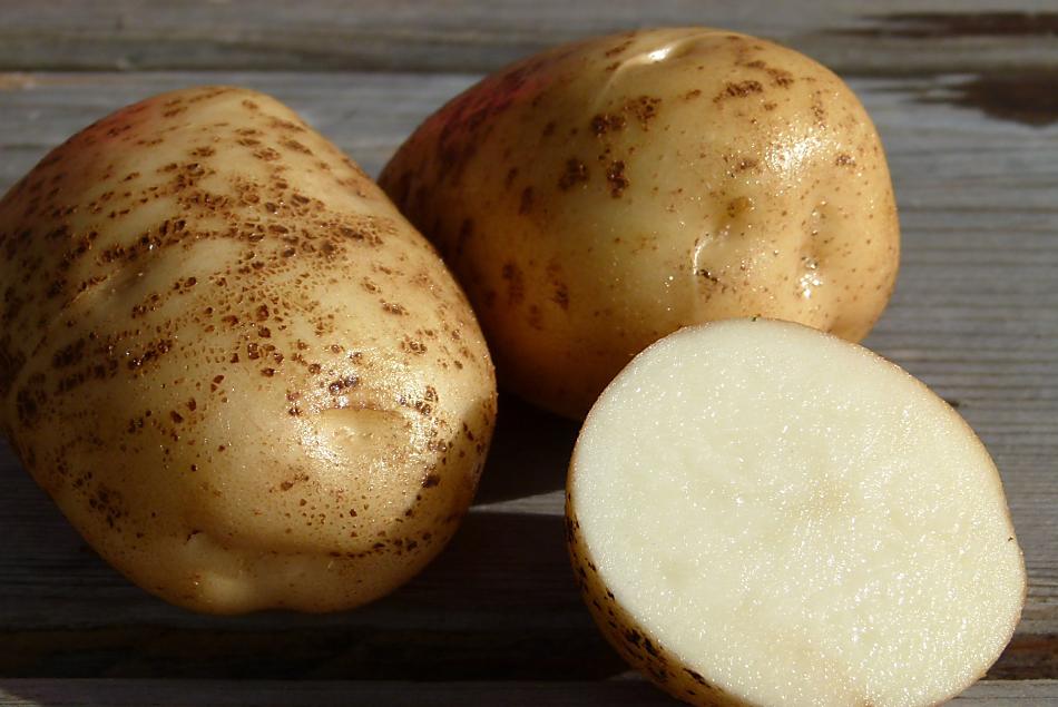 La patata viene utilizzata in molti modi nella cucina tradizionale altoatesina 